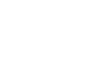 Tampaflex