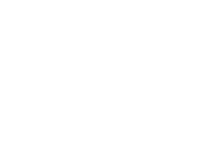 Topdata
